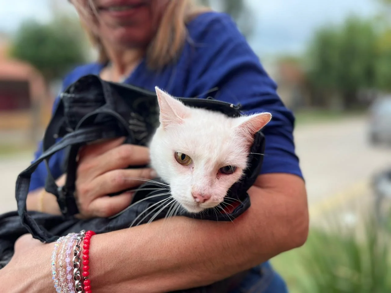 dd0af965-27d9-481d-8c81-0707764d1273